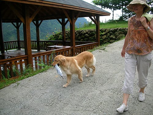 [中部。台中-輕旅行] 台中行第二天(2007.06.1