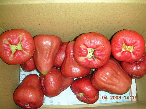 [南部] 2008.04.07 清明連假--(完)回台北囉