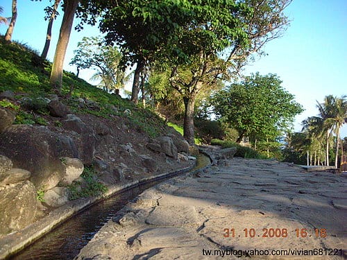 [東部。花東 輕旅行] 2008.10.312008.1