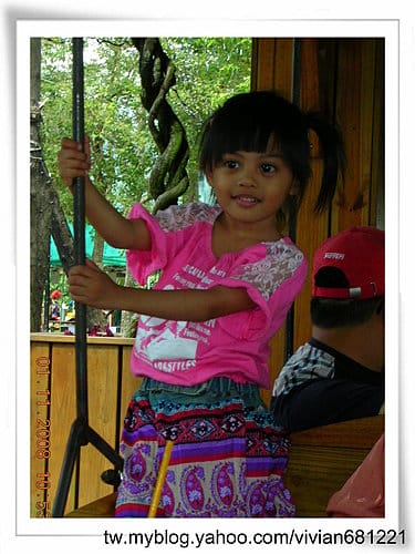 [東部。花東 輕旅行] 2008.10.312008.1