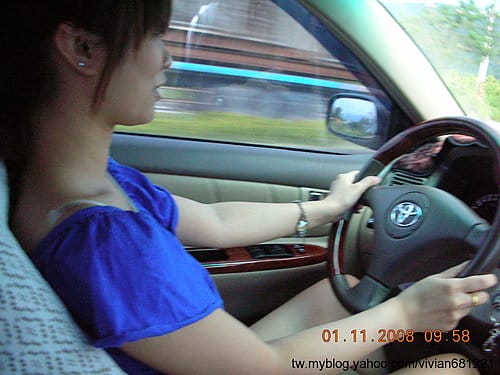 [東部。花東 輕旅行] 2008.10.312008.1