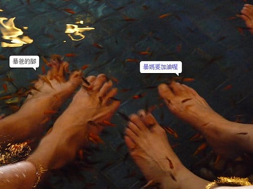 [東部。宜蘭] 2008 . 12 . 26 宜蘭行