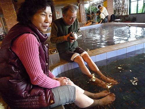 [東部。宜蘭] 2008 . 12 . 26 宜蘭行