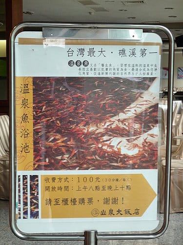 [東部。宜蘭] 2008 . 12 . 26 宜蘭行