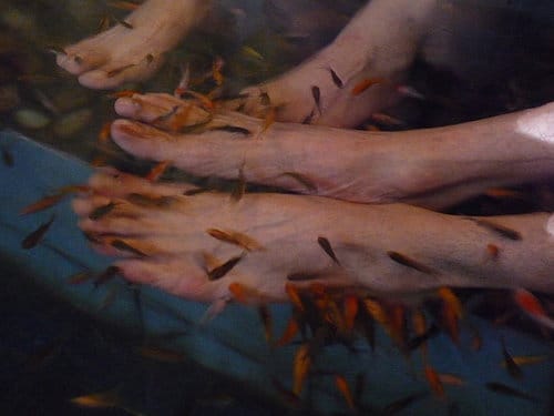 [東部。宜蘭] 2008 . 12 . 26 宜蘭行