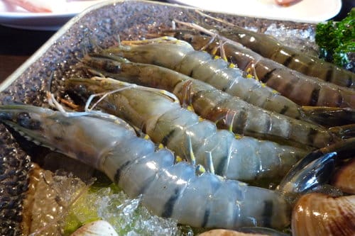 [新北市。板橋] 2009 . 08 . 23 海宴日式和風涮涮鍋