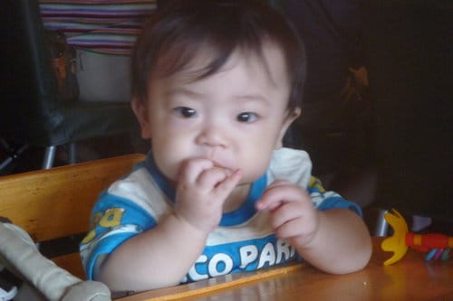 [新北市。板橋] 2009 . 08 . 23 海宴日式和風涮涮鍋