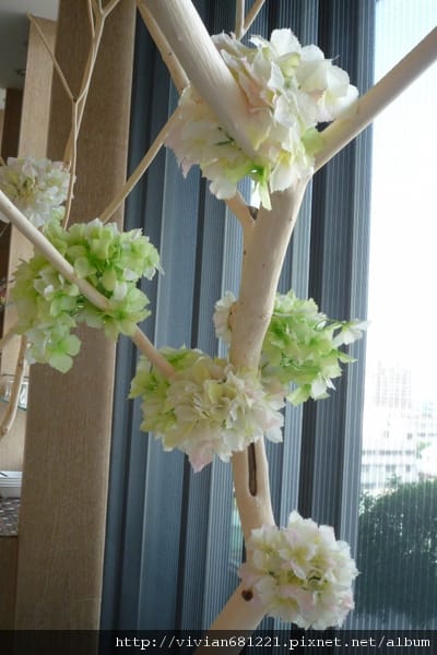 P10902821.jpg P10902821.jpg