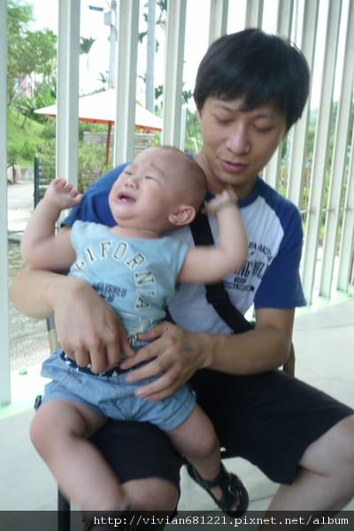 P1090216 我要下去1.jpg