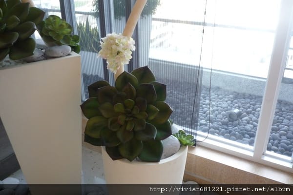 P1090281 喜歡的一角落1.jpg