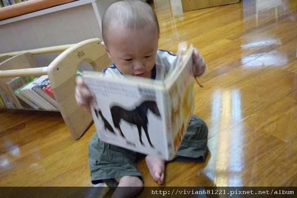 P1090514 來裝個氣質ㄅ1.jpg