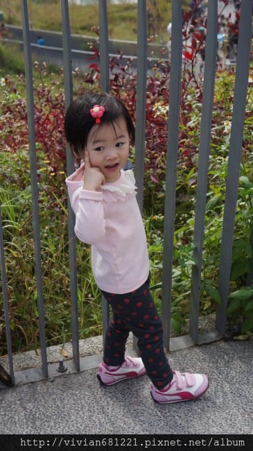 DSC083471.jpg DSC083471.jpg