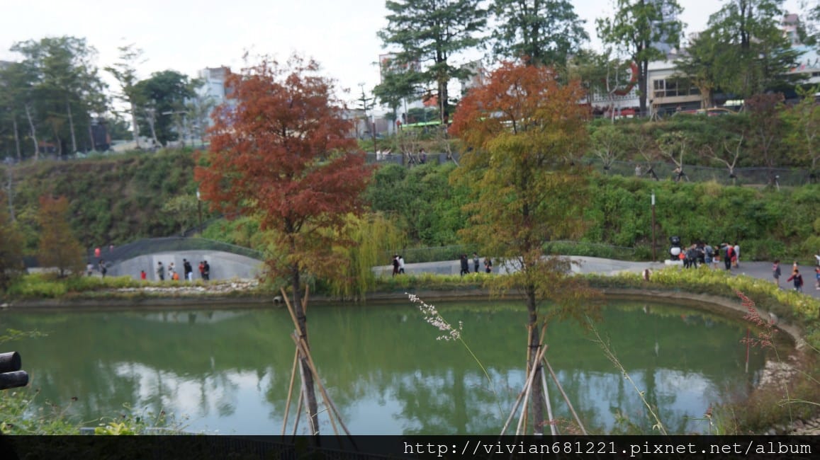 DSC083481.jpg DSC083481.jpg