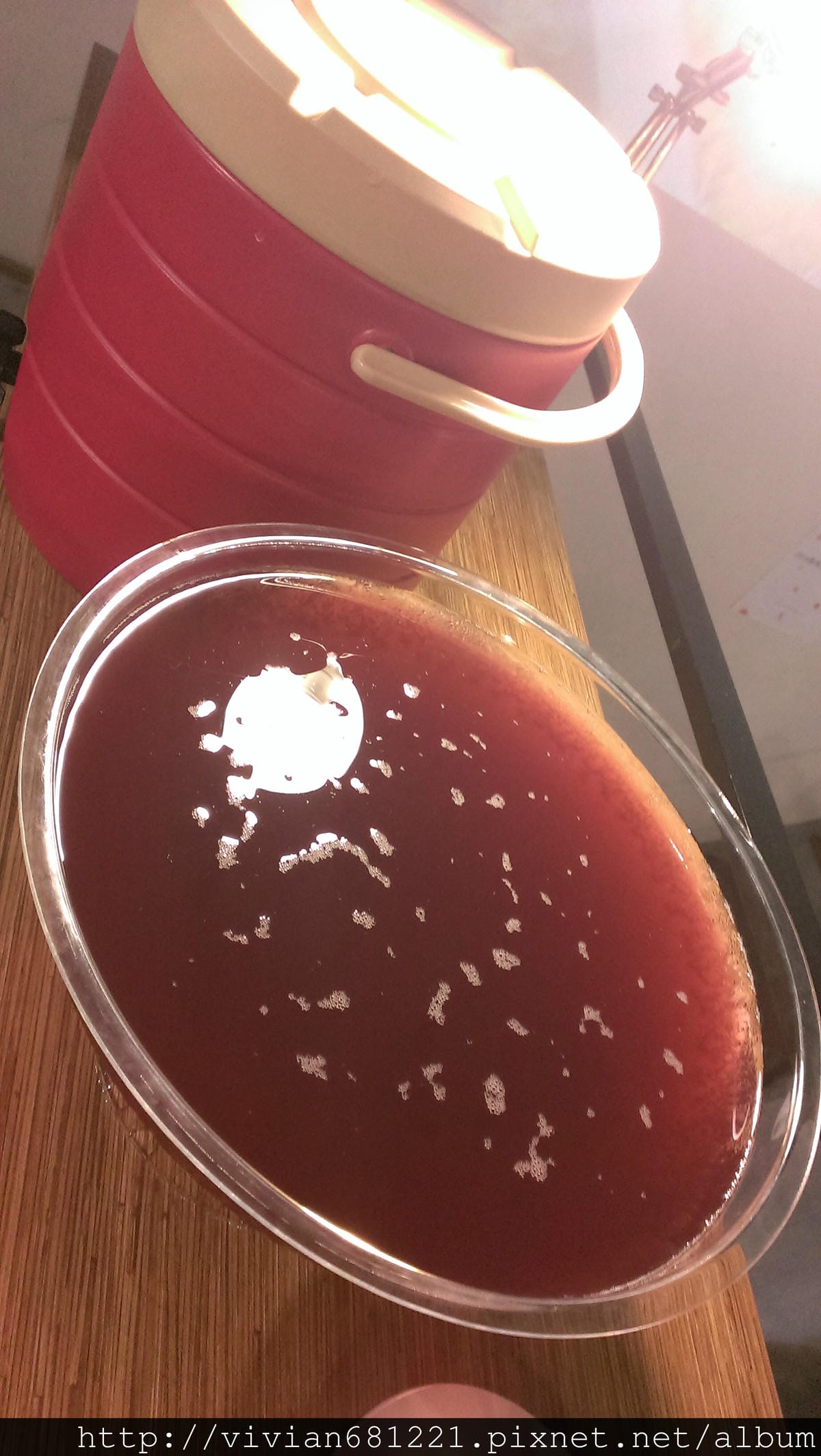 IMAG2537.jpg IMAG2537.jpg