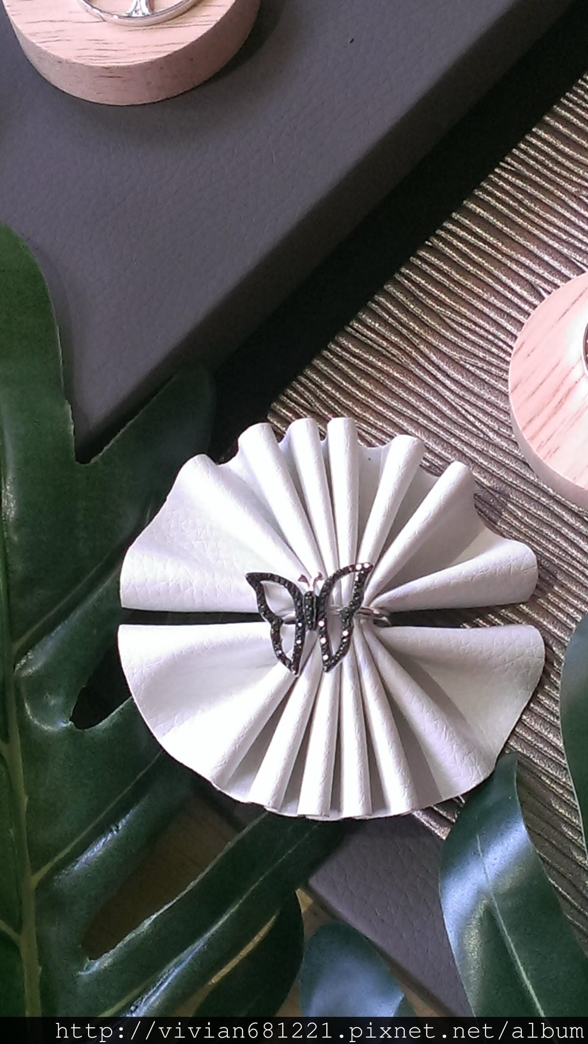 IMAG2556.jpg IMAG2556.jpg