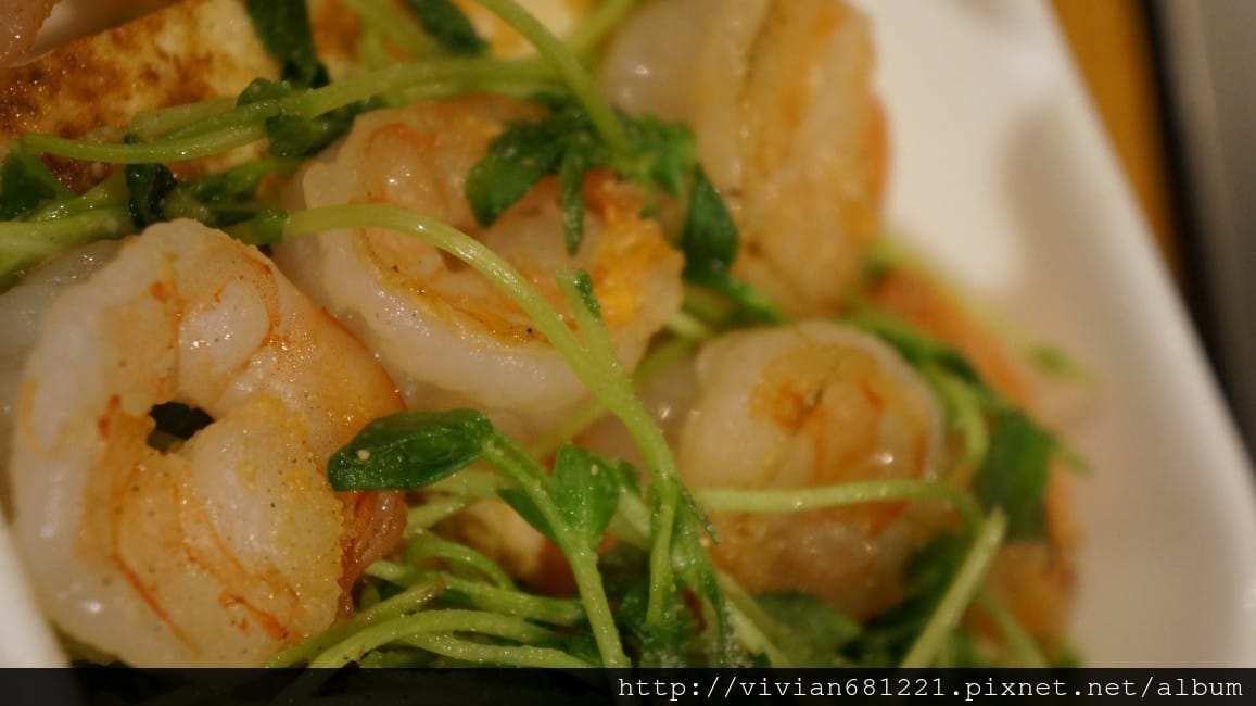 DSC047321.jpg DSC047321.jpg