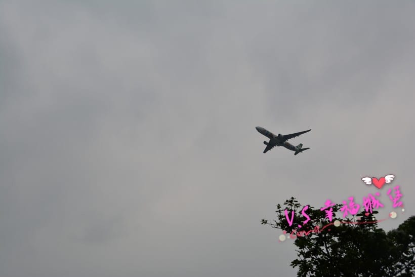 DSC_44491.jpg DSC_44491.jpg