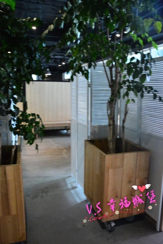 DSC_42331.jpg DSC_42331.jpg