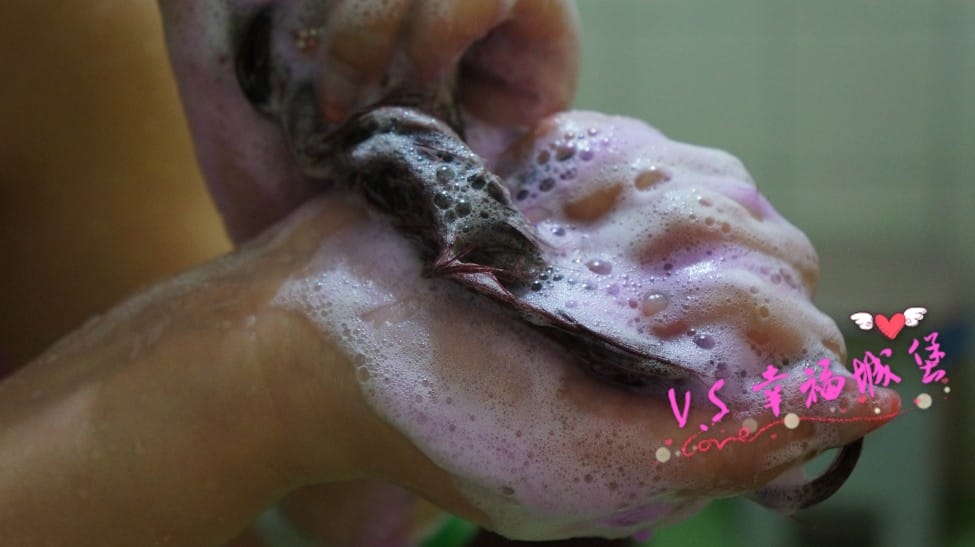 DSC096631.jpg DSC096631.jpg