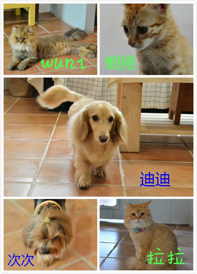 未命名_meitu_0111_meitu_12