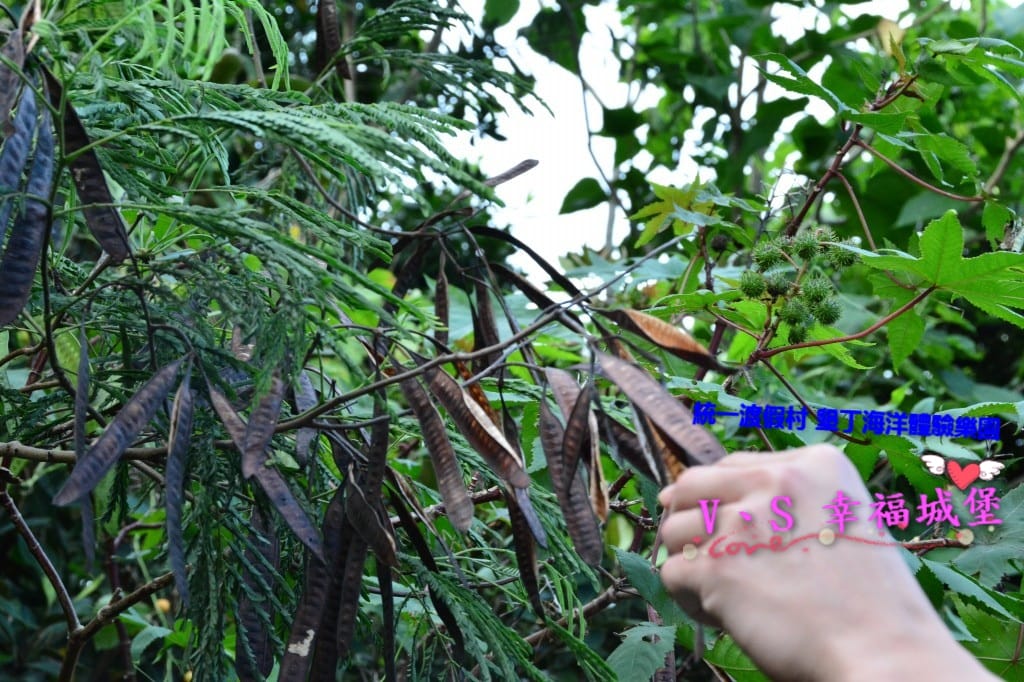 DSC_60921.jpg DSC_60921.jpg