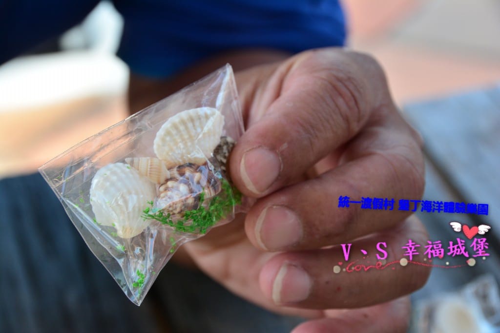 DSC_62591.jpg DSC_62591.jpg