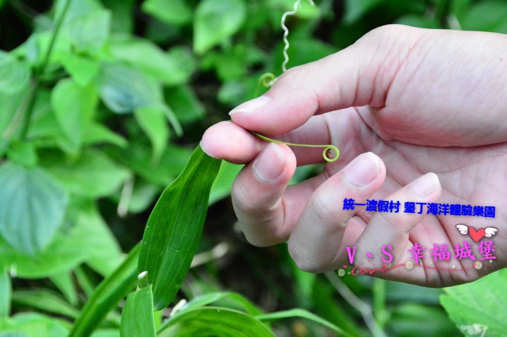 DSC_60881.jpg DSC_60881.jpg