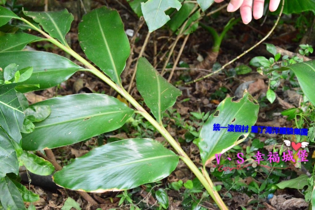 DSC_60871.jpg DSC_60871.jpg