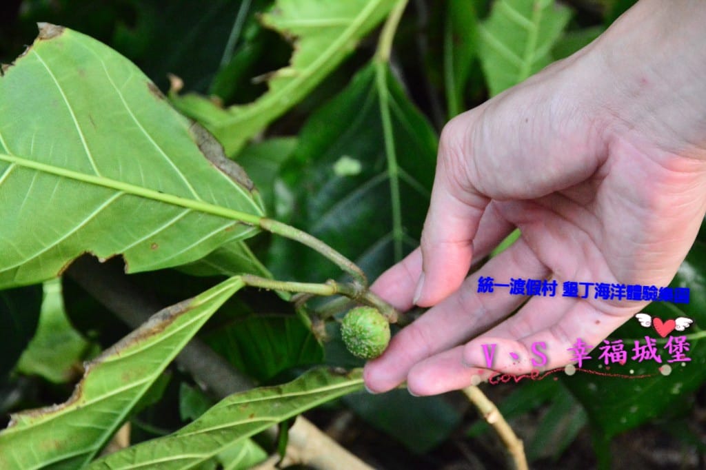 DSC_60941.jpg DSC_60941.jpg