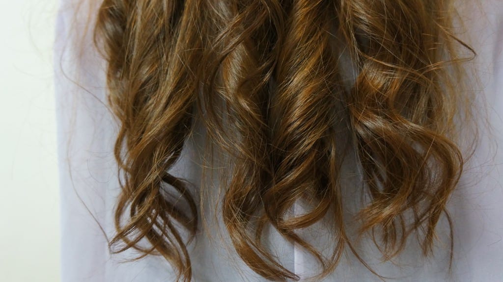 DSC036421.jpg DSC036421.jpg