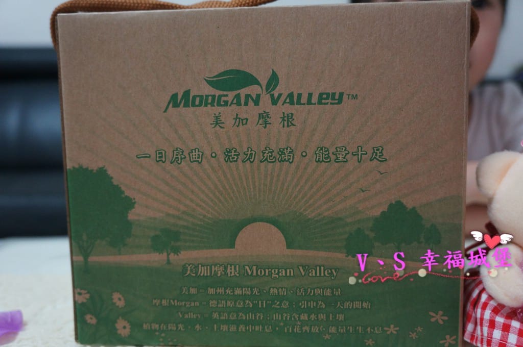 【腰果堅果推薦】美加摩根 超值健康組合 – 高級原味腰果高級綜合堅果