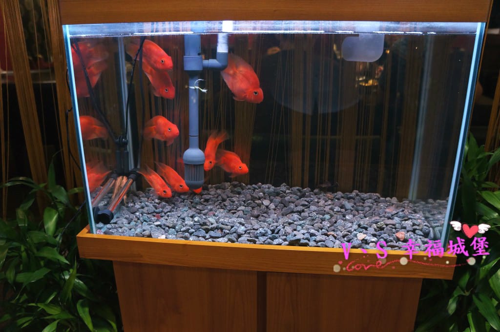 DSC09333 [-1]_meitu_10.jpg