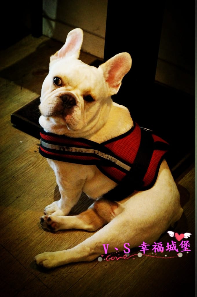 DSC00127 [-1]_副本.jpg