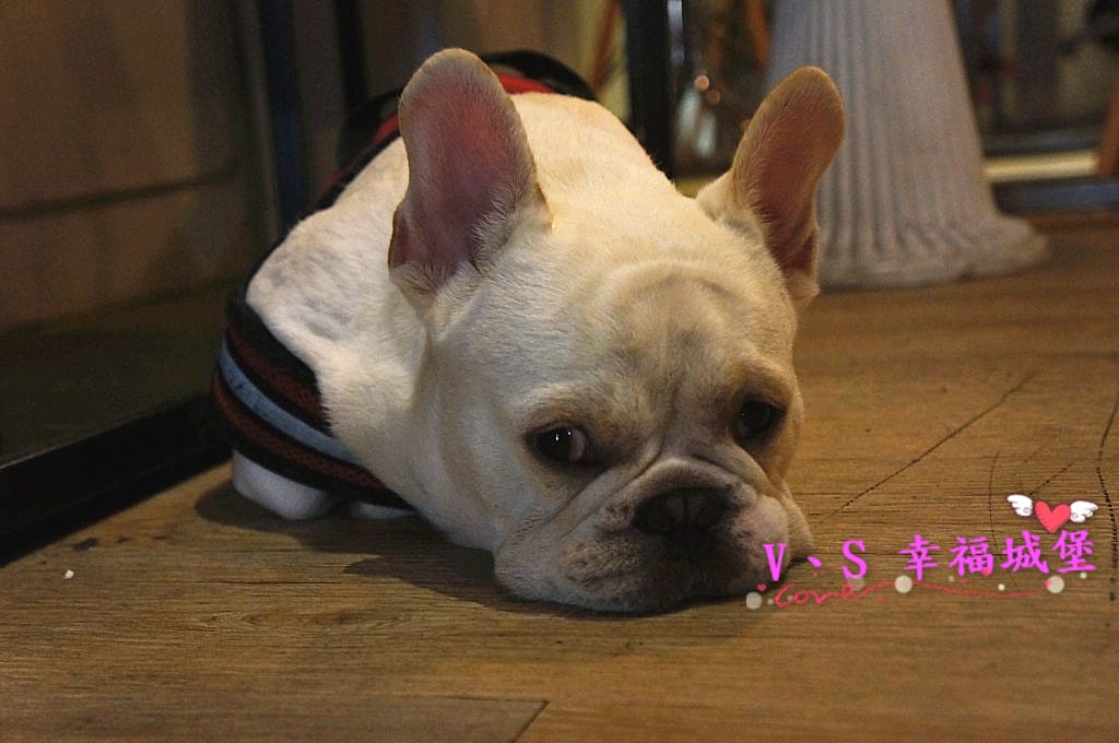 DSC00156 [-1]_副本.jpg