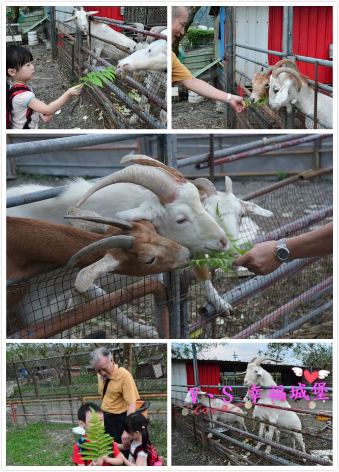 DSC_9780 [-1]_meitu_155