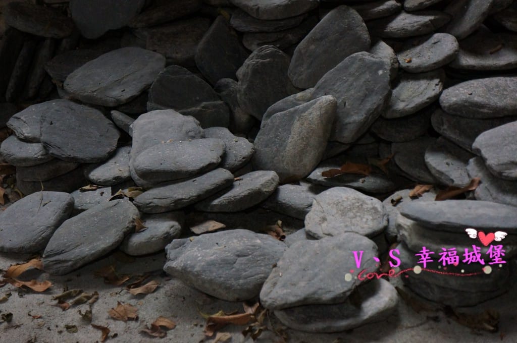 DSC01047 [-1].jpg