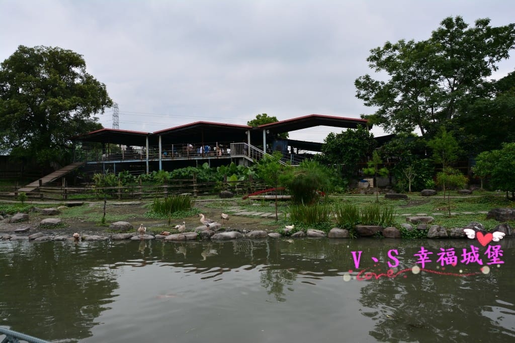 DSC_58461.jpg DSC_58461.jpg