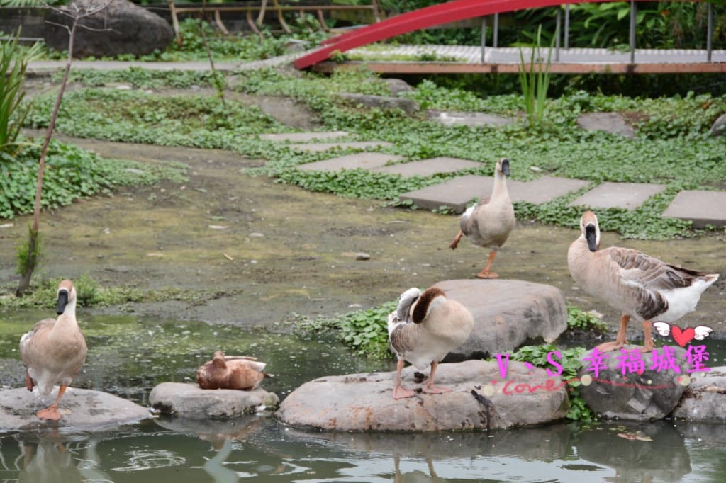 DSC_58491.jpg DSC_58491.jpg