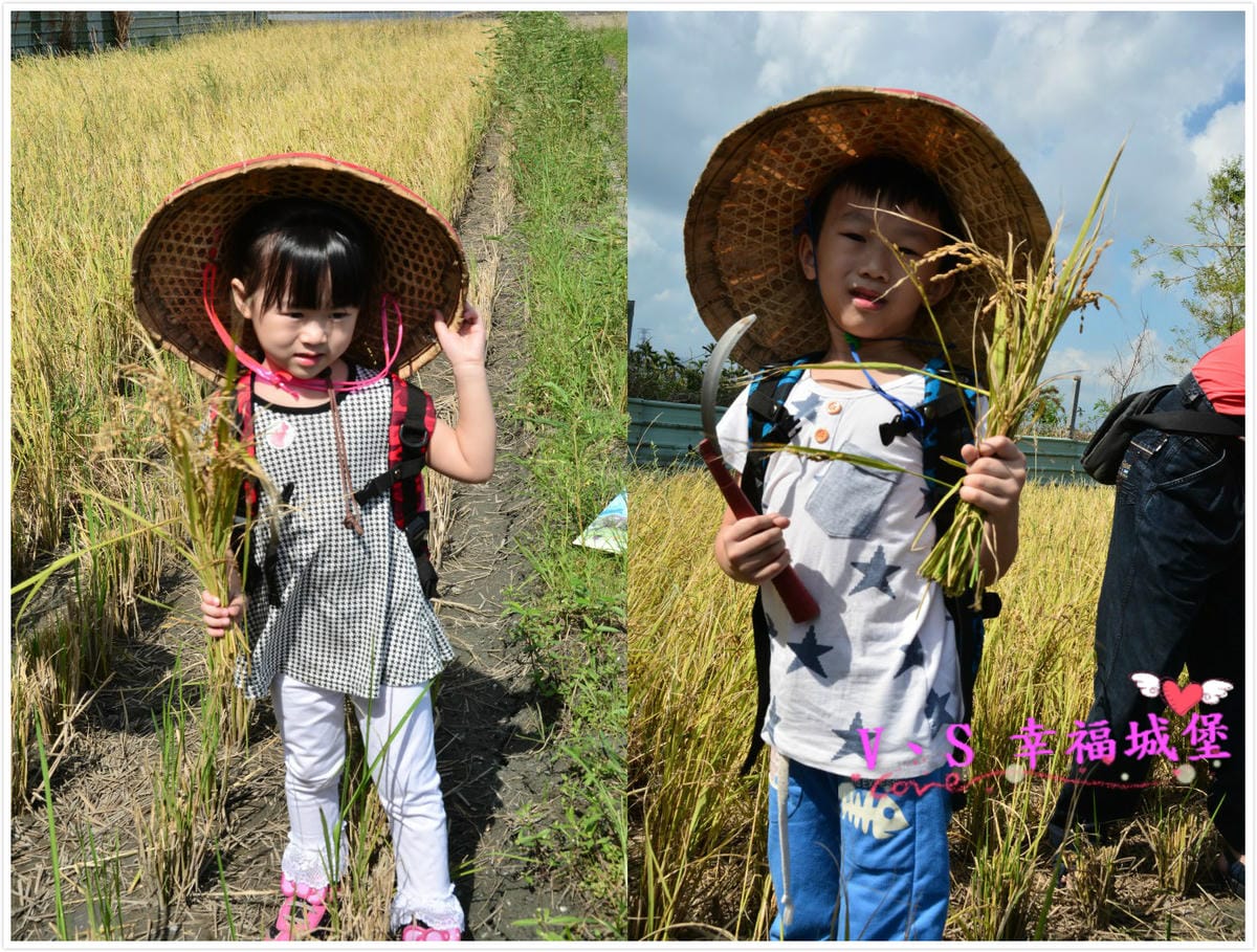 DSC_0533 [-1]_meitu_1
