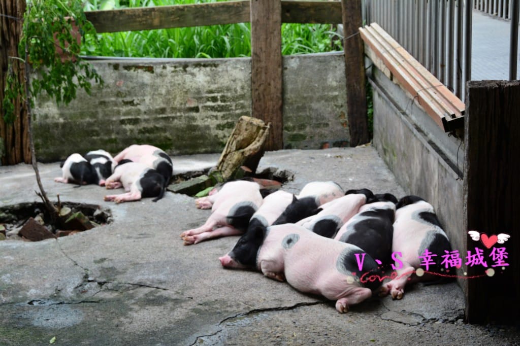 DSC_58131.jpg DSC_58131.jpg