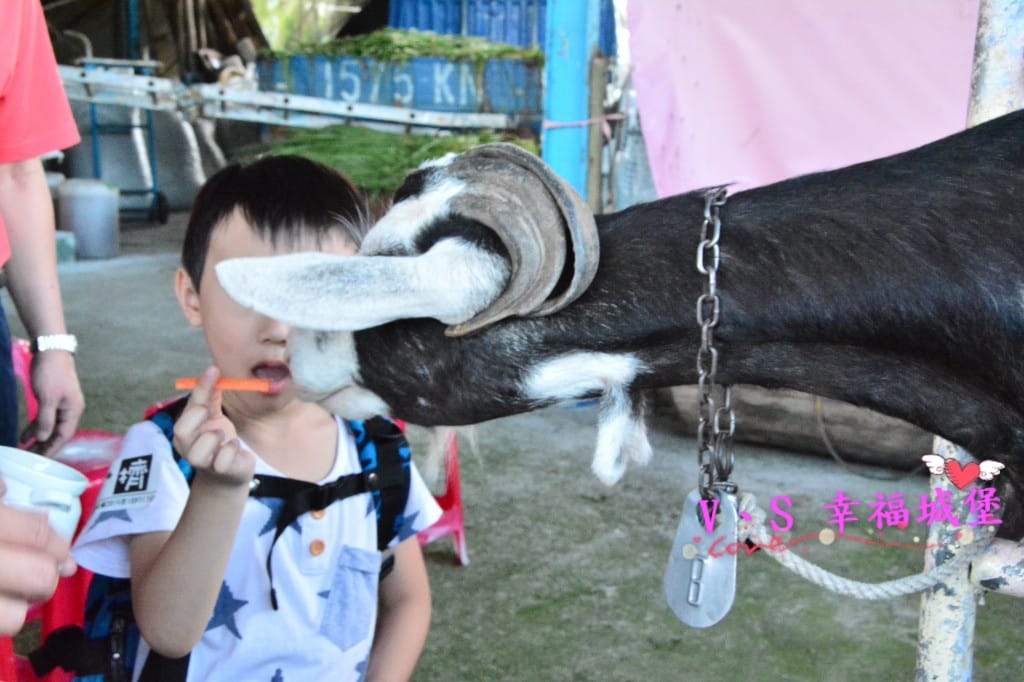 DSC_0697 [-1].jpg