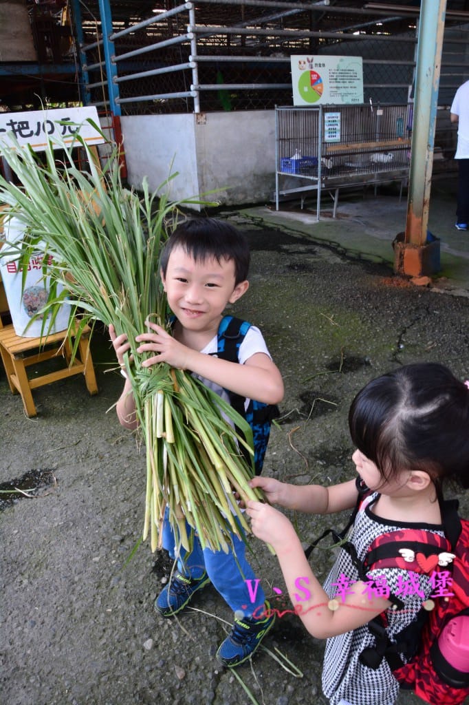 DSC_0617 [-1].jpg