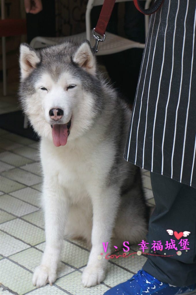 DSC03232 [-1]_meitu_44.jpg