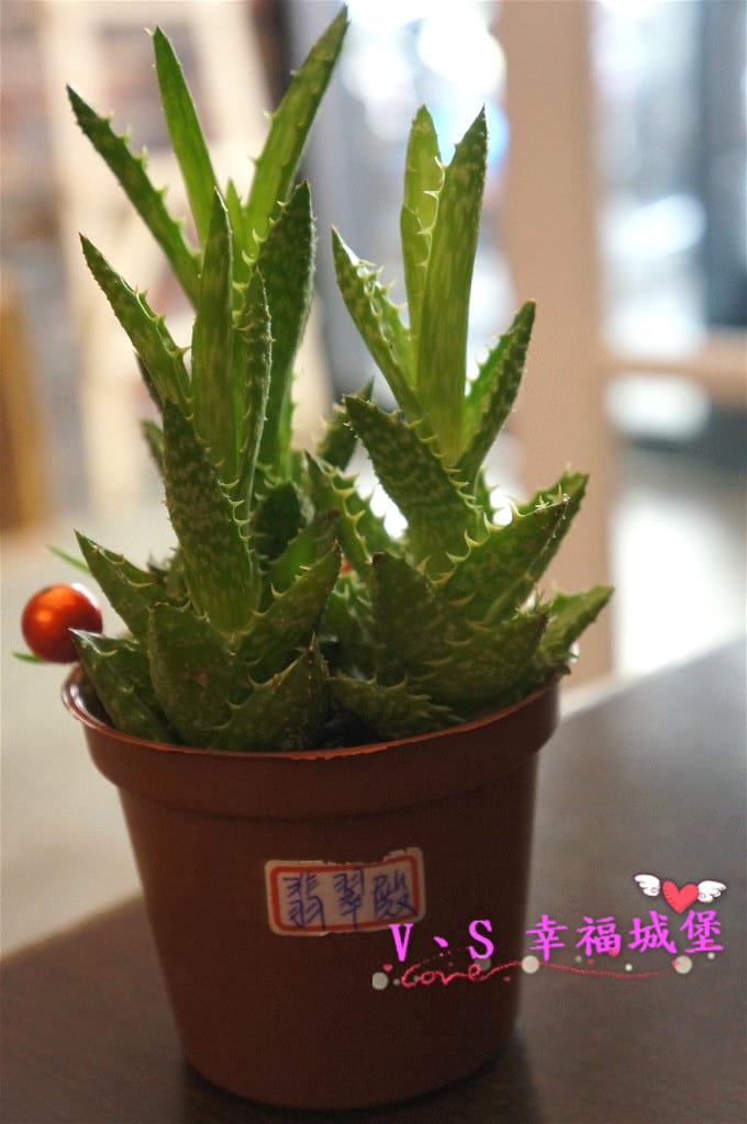 DSC02709 [-1]_meitu_22.jpg