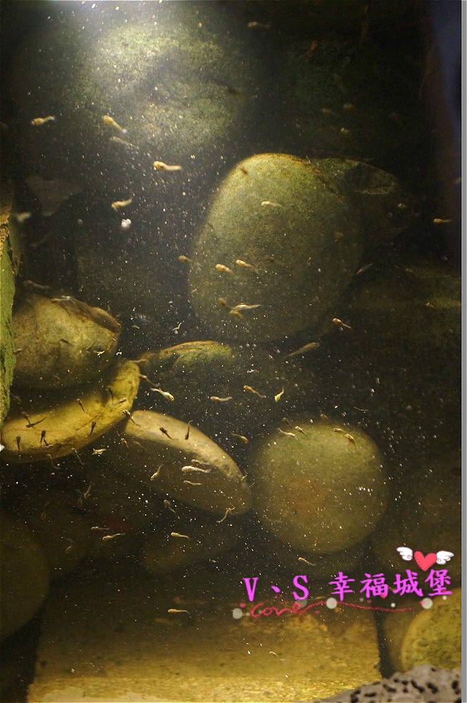 DSC05092 [-1]_meitu_2.jpg