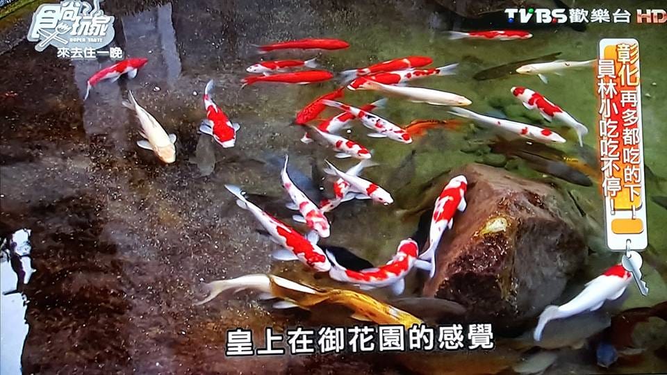 12919821_1263219700359369_4504161070002204932.jpg 12919821_1263219700359369_4504161070002204932.jpg