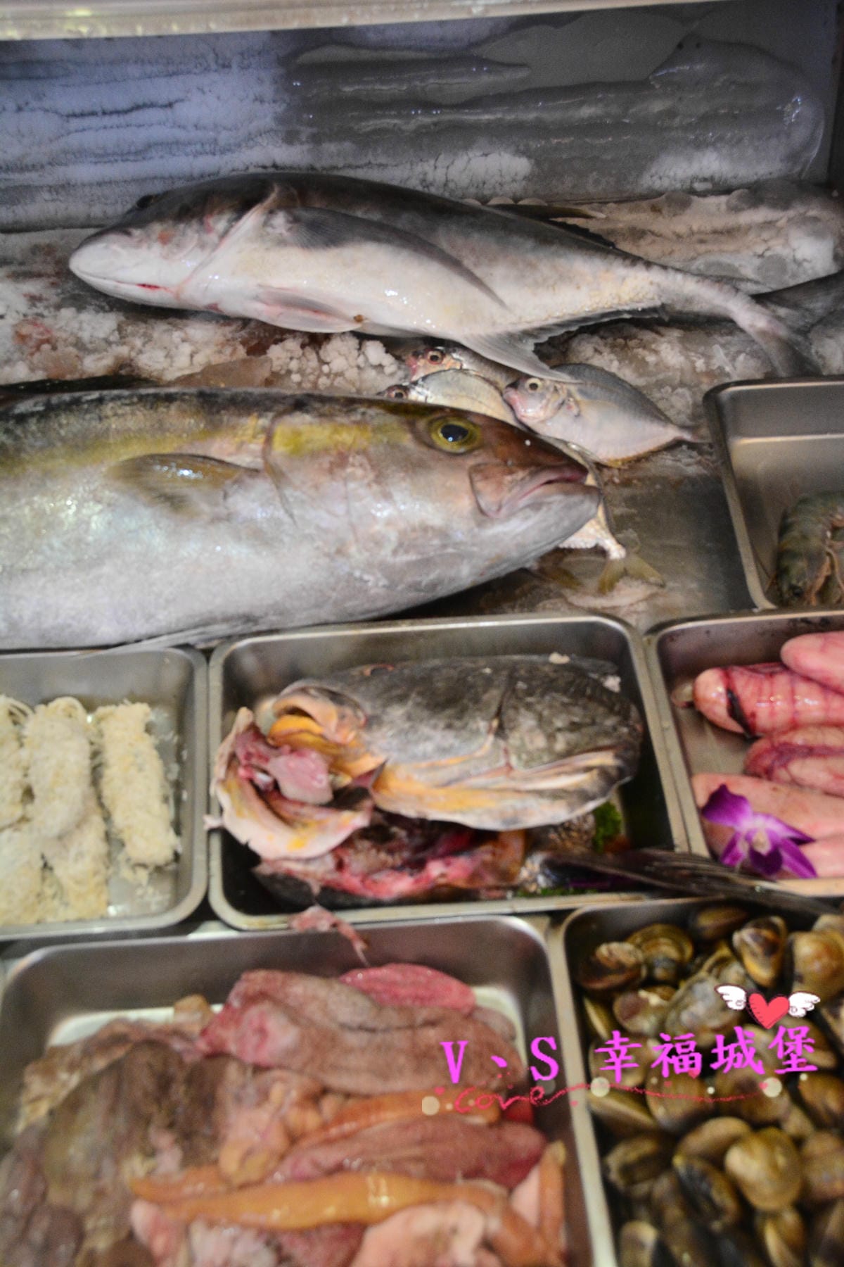 DSC_5843.JPG DSC_5843.JPG