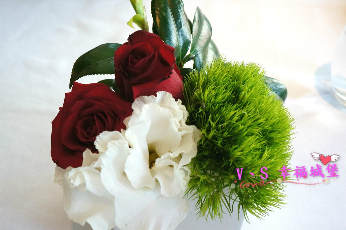 DSC08488_meitu_36.jpg DSC08488_meitu_36.jpg