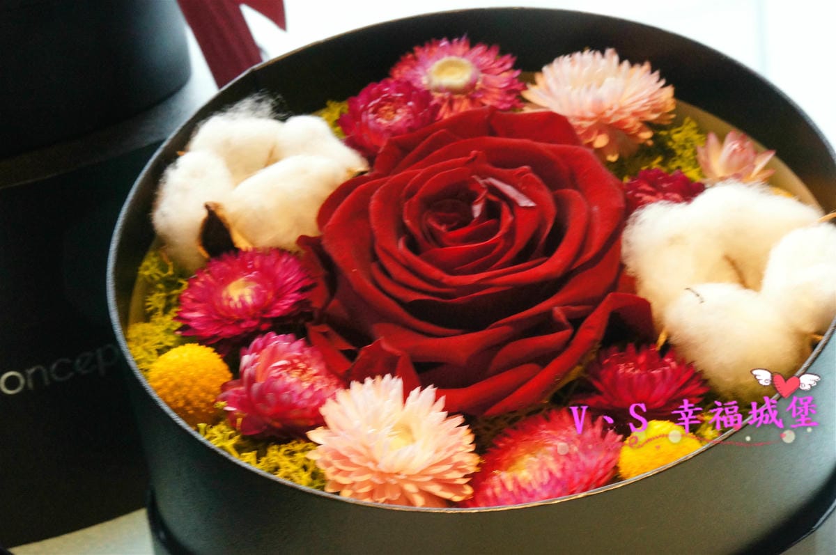 DSC09292_meitu_6.jpg DSC09292_meitu_6.jpg