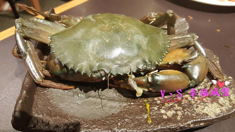 13000310_1278882912126381_523149368478738244.jpg 13000310_1278882912126381_523149368478738244.jpg